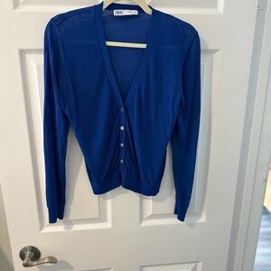 Zara Women's Vibrant Blue thin Cardigan